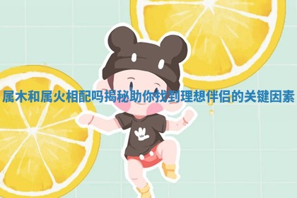 属木和属火相配吗揭秘助你找到理想伴侣的关键因素