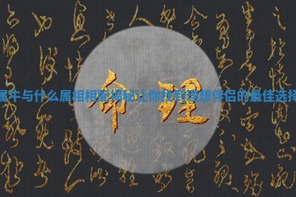 属牛与什么属相相配揭秘 让你找到理想伴侣的最佳选择