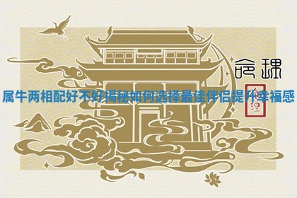 属牛两相配好不好揭秘如何选择最佳伴侣提升幸福感