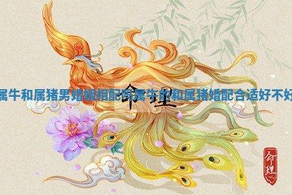 属牛和属猪男婚姻相配吗 属牛的和属猪婚配合适好不好