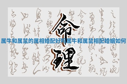属牛和属鼠的属相婚配好吗_属牛和属鼠相配婚姻如何