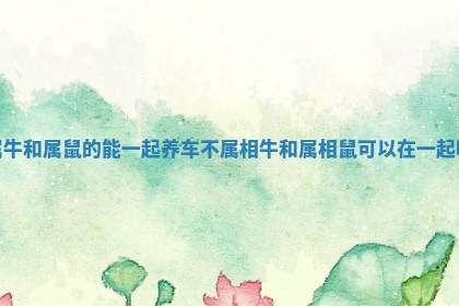 属牛和属鼠的能一起养车不_属相牛和属相鼠可以在一起吗