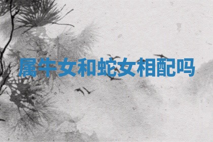 属牛女和蛇女相配吗