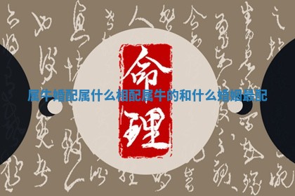 属牛婚配属什么相配_属牛的和什么婚姻最配