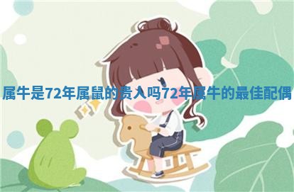 属牛是72年属鼠的贵人吗 72年属牛的最佳配偶 属牛是72年属鼠的贵人吗 72年属牛的最佳配偶
