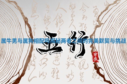 属牛男与属狗相配吗揭秘两者之间的完美默契与挑战