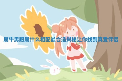 属牛男跟属什么相配最合适揭秘让你找到真爱伴侣