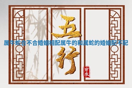 属牛蛇合不合婚姻相配 属牛的和属蛇的婚姻配不配