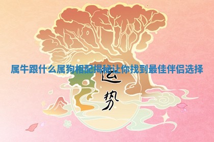 属牛跟什么属狗相配揭秘让你找到最佳伴侣选择