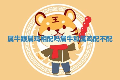 属牛跟属鸡相配吗 属牛和属鸡配不配