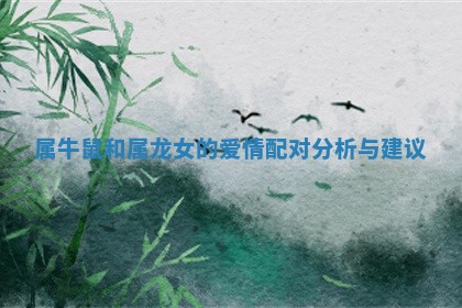 属牛鼠和属龙女的爱情配对分析与建议