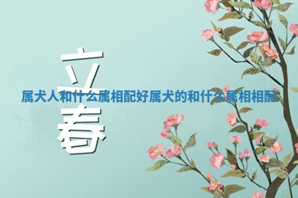 属犬人和什么属相配好_属犬的和什么属相相配