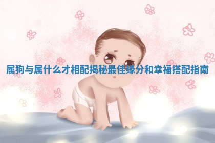 属狗与属什么才相配揭秘最佳缘分和幸福搭配指南