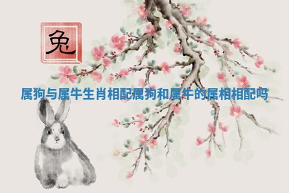 属狗与属牛生肖相配_属狗和属牛的属相相配吗