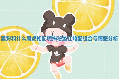 属狗和什么属虎相配呢揭秘最佳婚配组合与情感分析