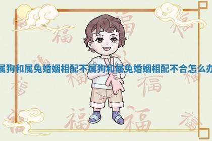 属狗和属兔婚姻相配不_属狗和属兔婚姻相配不合怎么办 属狗和属兔婚姻相配不_属狗和属兔婚姻相配不合怎么办