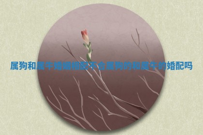 属狗和属牛婚姻相配不合 属狗的和属牛的婚配吗