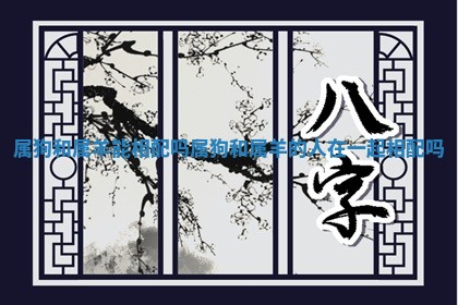 属狗和属羊能相配吗_属狗和属羊的人在一起相配吗