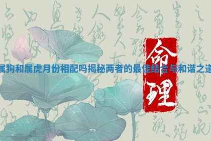 属狗和属虎月份相配吗揭秘两者的最佳结合与和谐之道