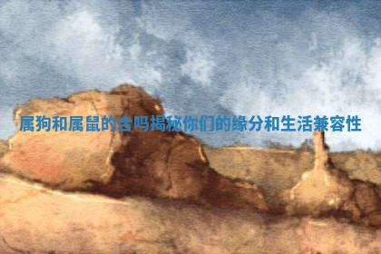 属狗和属鼠的合吗揭秘你们的缘分和生活兼容性 属狗和属鼠的合吗揭秘你们的缘分和生活兼容性