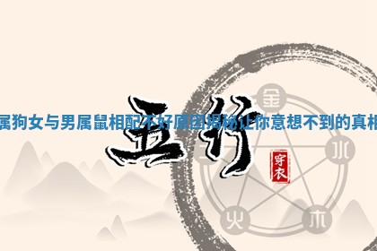 属狗女与男属鼠相配不好原因揭秘让你意想不到的真相