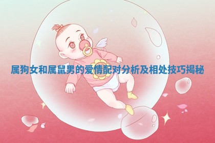 属狗女和属鼠男的爱情配对分析及相处技巧揭秘