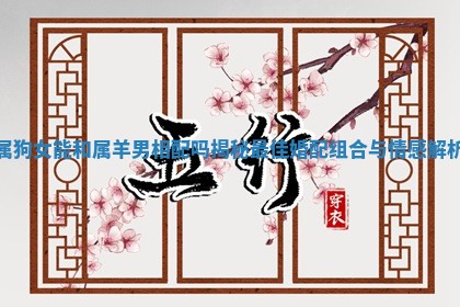 属狗女能和属羊男相配吗揭秘最佳婚配组合与情感解析