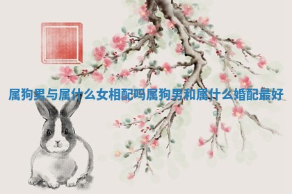 属狗男与属什么女相配吗_属狗男和属什么婚配最好