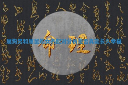 属狗男和属鼠蛇女的配对分析是否真能长久幸福