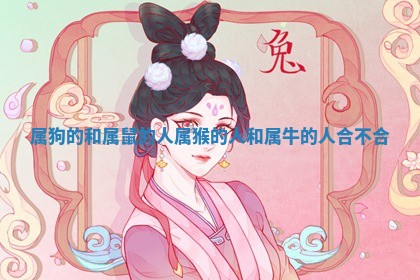 属狗的和属鼠的人 属猴的人和属牛的人合不合