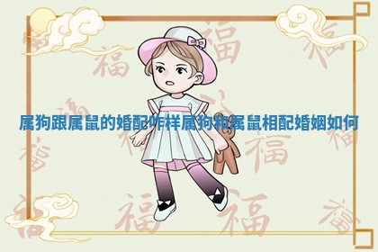 属狗跟属鼠的婚配咋样_属狗和属鼠相配婚姻如何