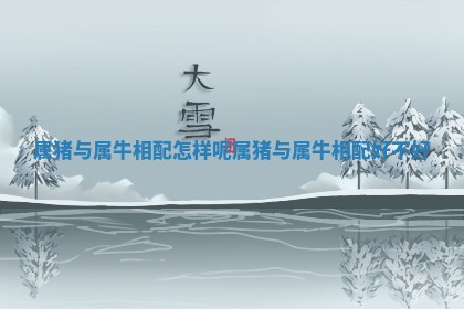 属猪与属牛相配怎样呢 属猪与属牛相配好不好