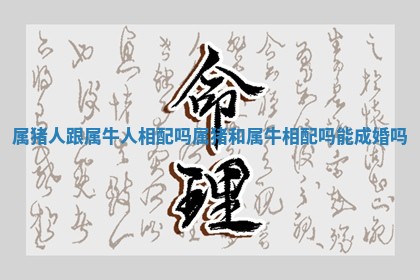 属猪人跟属牛人相配吗_属猪和属牛相配吗能成婚吗
