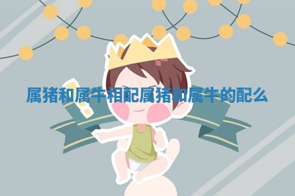 属猪和属牛相配 属猪和属牛的配么 属猪和属牛相配 属猪和属牛的配么