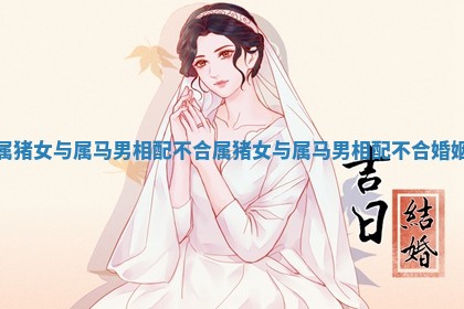 属猪女与属马男相配不合 属猪女与属马男相配不合婚姻