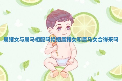 属猪女与属马相配吗婚姻 属猪女和属马女合得来吗