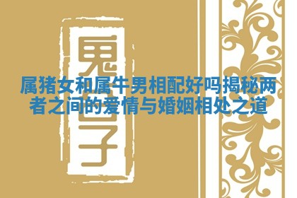 属猪女和属牛男相配好吗揭秘两者之间的爱情与婚姻相处之道