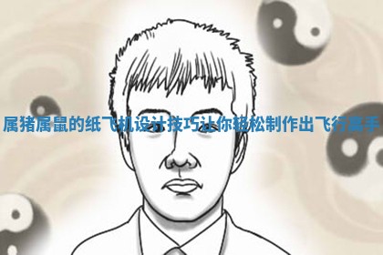 属猪属鼠的纸飞机设计技巧让你轻松制作出飞行高手