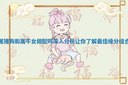 属猪狗和属牛女相配吗深入分析让你了解最佳缘分组合