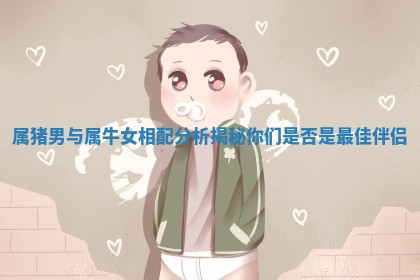 属猪男与属牛女相配分析揭秘你们是否是最佳伴侣