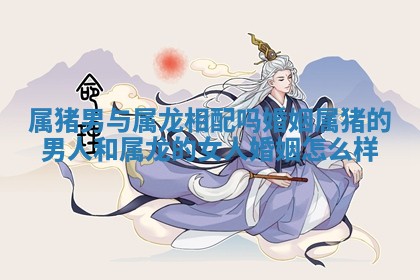 属猪男与属龙相配吗婚姻 属猪的男人和属龙的女人婚姻怎么样