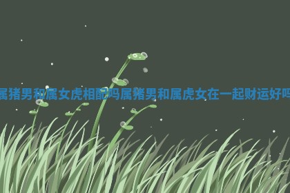 属猪男和属女虎相配吗 属猪男和属虎女在一起财运好吗