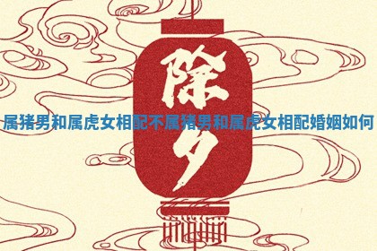 属猪男和属虎女相配不_属猪男和属虎女相配婚姻如何