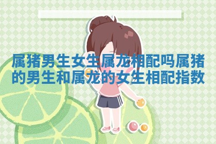 属猪男生女生属龙相配吗 属猪的男生和属龙的女生相配指数