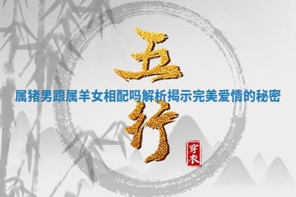 属猪男跟属羊女相配吗解析揭示完美爱情的秘密