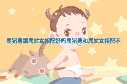 属猪男跟属蛇女相配好吗_属猪男和属蛇女相配不