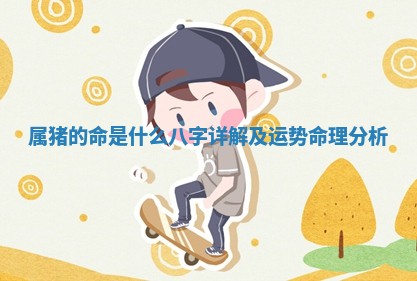 属猪的命是什么八字详解及运势命理分析 属猪的命是什么八字详解及运势命理分析