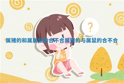 属猪的和属属鼠的合不合_属猪的与属鼠的合不合