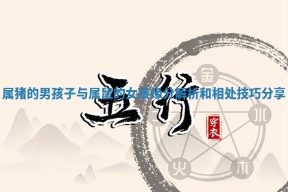 属猪的男孩子与属鼠的女孩缘分解析和相处技巧分享