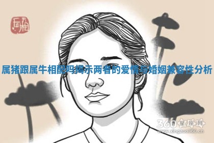 属猪跟属牛相配吗揭示两者的爱情与婚姻兼容性分析
